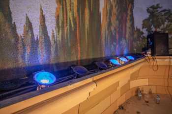 Cameco Capitol Arts Centre, Port Hope, Canada: Cove Lighting Closeup