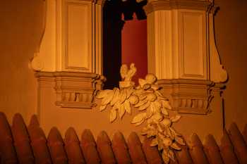 Odeon Richmond, United Kingdom: London: Closeup of Dove and Orange Tree Foliage